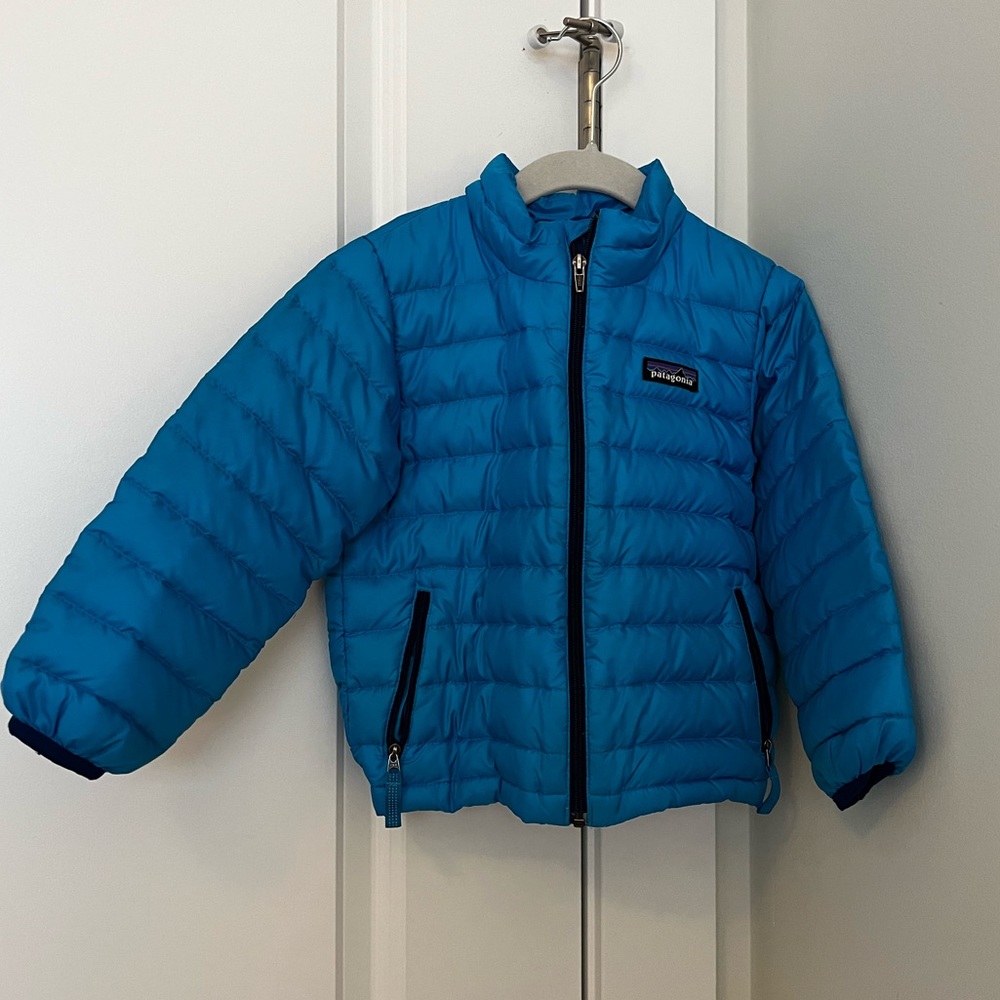 Patagonia Toddler Down Sweater (3T)